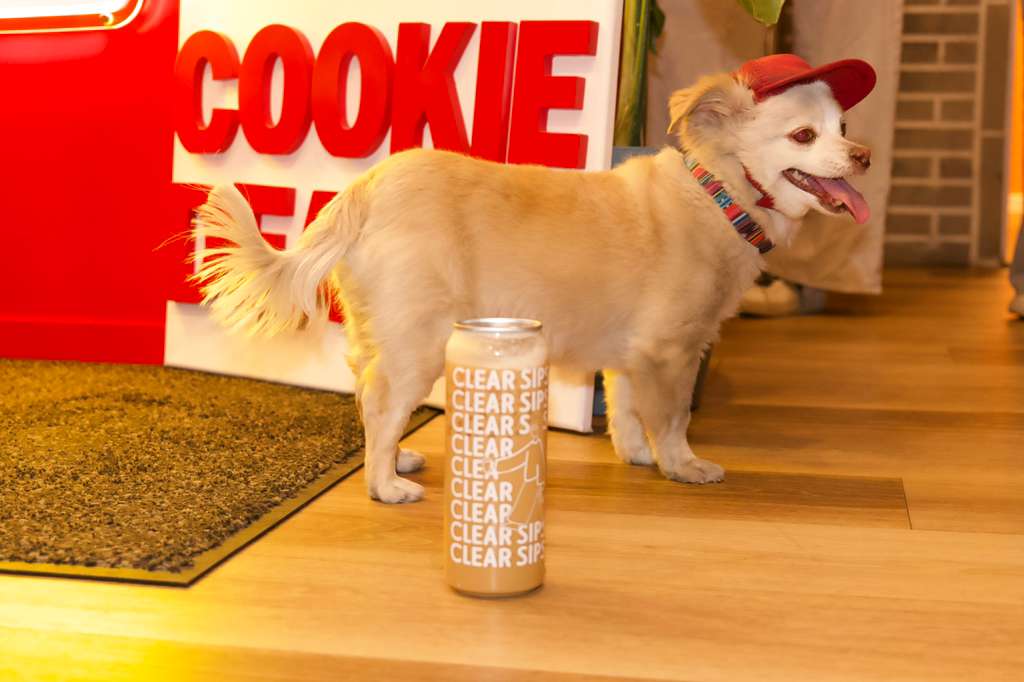 Clear Sips lifestyle moment with a dog